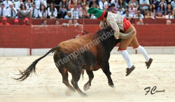 Imagens da corrida de Alenquer  28-09-2014